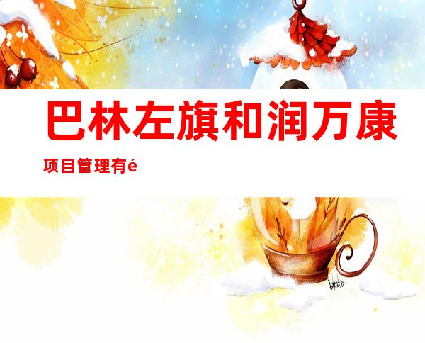 巴林左旗和润万康项目管理有限公司